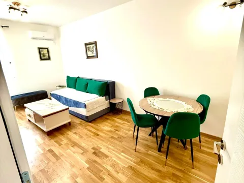 Izdavanje, jednosoban stan, 46m², Zagorič, Podgorica - image 3