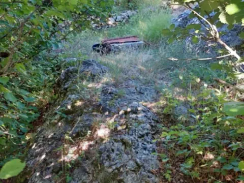 Prodaja, plac, 480000m², Brestice, Nikšić - image 5