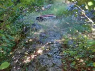 Sale, land lot, 480000m², Brestice, Nikšić - image 5