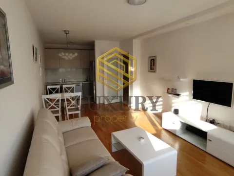 Rent, one bedroom apartment, 49m², Central Point, Podgorica - image 9