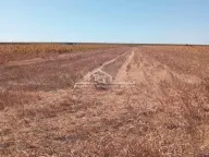 Prodaja, plac, Batajnica, Beograd - image 7