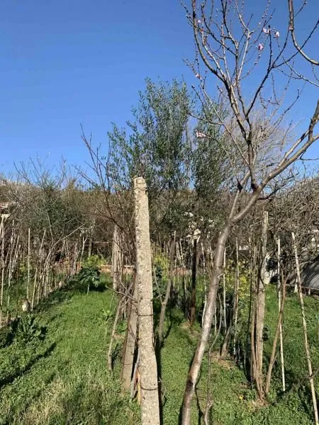 Prodaja, plac, 500m², Bar, Crna Gora