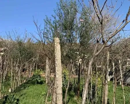 Sale, land lot, 500m², Bar, Crna Gora