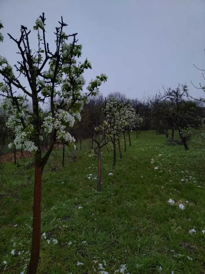 Prodaja, kuća, 130m², Taraš, Zrenjanin