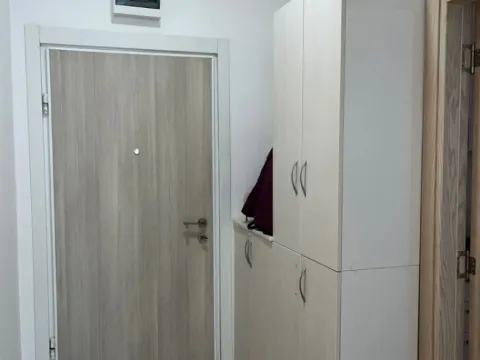 Izdavanje, jednosoban stan, 45m², Blok 9, Podgorica - image 3