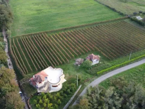 Prodaja, kuća, 120m², Zagorak, Danilovgrad - image 9