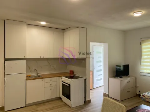 Rent, two bedroom apartment, 60m², Donja Gorica, Podgorica - image 5