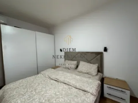 Izdavanje, jednosoban stan, 58m², Stari Aerodrom, Podgorica - image 9