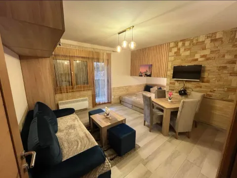Izdavanje, jednosoban stan, 24m², Centar, Zlatibor - image 1