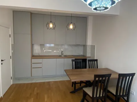 Izdavanje, jednosoban stan, 49m², Zabjelo, Podgorica - image 2