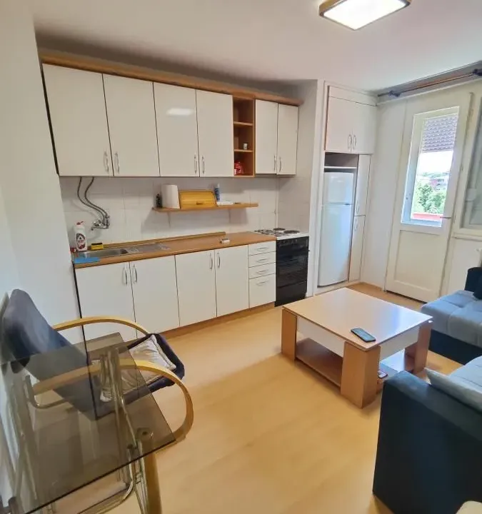 Izdavanje, jednosoban stan, 38m², Tabane, Jagodina