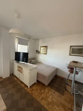 Izdavanje, jednosoban stan, 34m², Stari Grad, Beograd - image 16