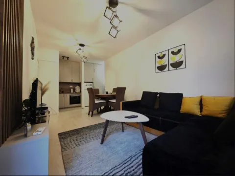 Izdavanje, jednosoban stan, 40m², Krivi Most, Podgorica - image 2