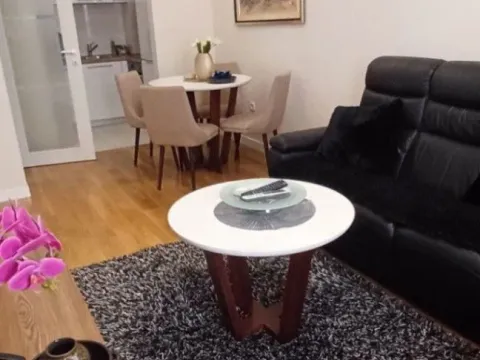 Izdavanje, jednosoban stan, 45m², Central Point, Podgorica - image 8