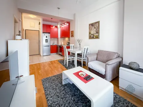 Rent, one bedroom apartment, 42m², Ljubović, Podgorica - image 4