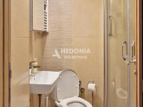 Izdavanje, jednosoban stan, 30m², Profesorska Kolonija, Palilula Sve Podlokacije - image 8