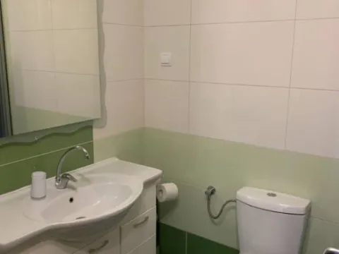 Izdavanje, kuća, 240m², Donja Gorica, Podgorica - image 12