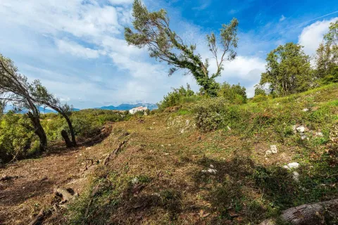 Pogled na zeleno dvorište sa stablima i okolni pejzaž. - image 4