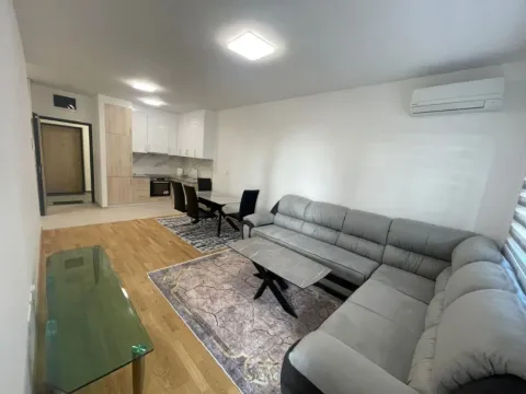 Izdavanje, jednosoban stan, 48m², Stari Aerodrom, Podgorica - image 4