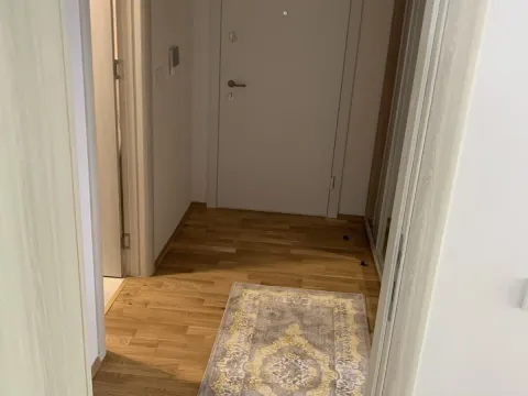 Rent, one bedroom apartment, 55m², Budva, Crna Gora - image 9