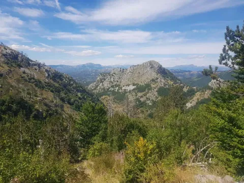 Prodaja, plac, 725000m², Podgorica, Crna Gora - image 5