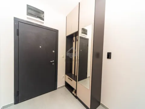 Izdavanje, jednosoban stan, 41m², Stari Aerodrom, Podgorica - image 9