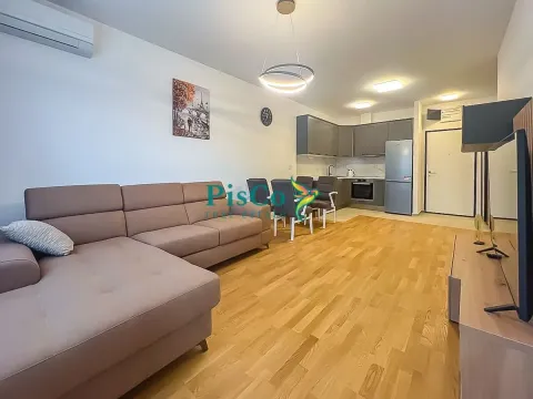 Rent, one bedroom apartment, 47m², Stari Aerodrom, Podgorica - image 2