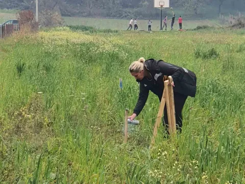 Prodaja, plac, 4800m², Rasovo, Bijelo Polje - image 2