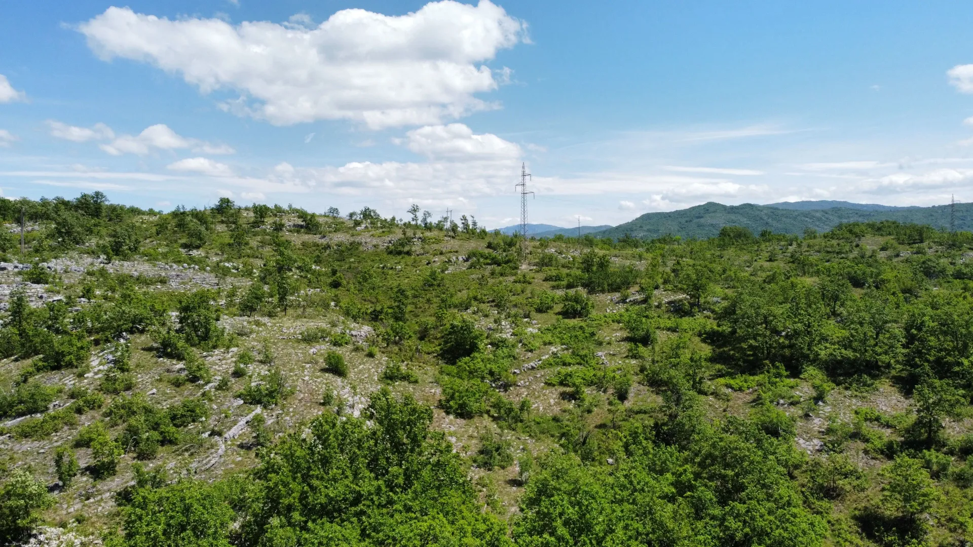 Prodaja, plac, 300000m², Rudine, Nikšić