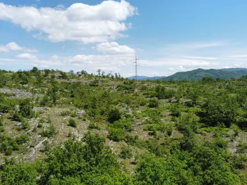 Prodaja, plac, 300000m², Rudine, Nikšić - image 3