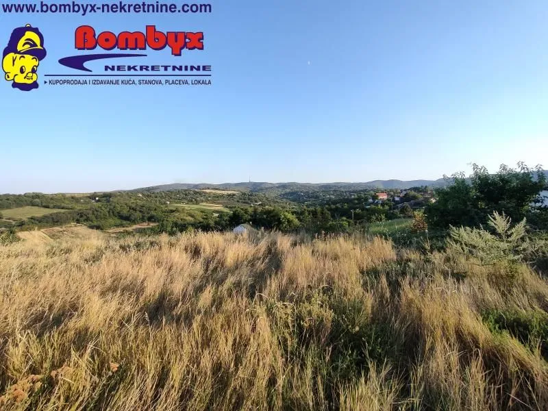 Prodaja, plac, 2000m², Sremska Kamenica, Petrovaradin