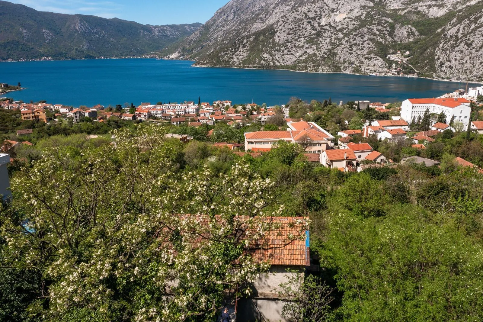 Prodaja, plac, 13000m², Risan, Kotor
