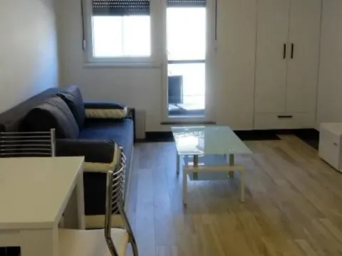 Izdavanje, jednosoban stan, 25m², Savski Venac, Beograd - image 3