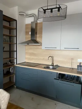 Moderna kuhinja sa tamnim elementima, drvenim detaljima i ugrađenom mašinom za suđe. - image 3