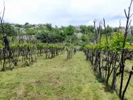 Sale, land lot, 240000m², Štitari, Cetinje - image 5