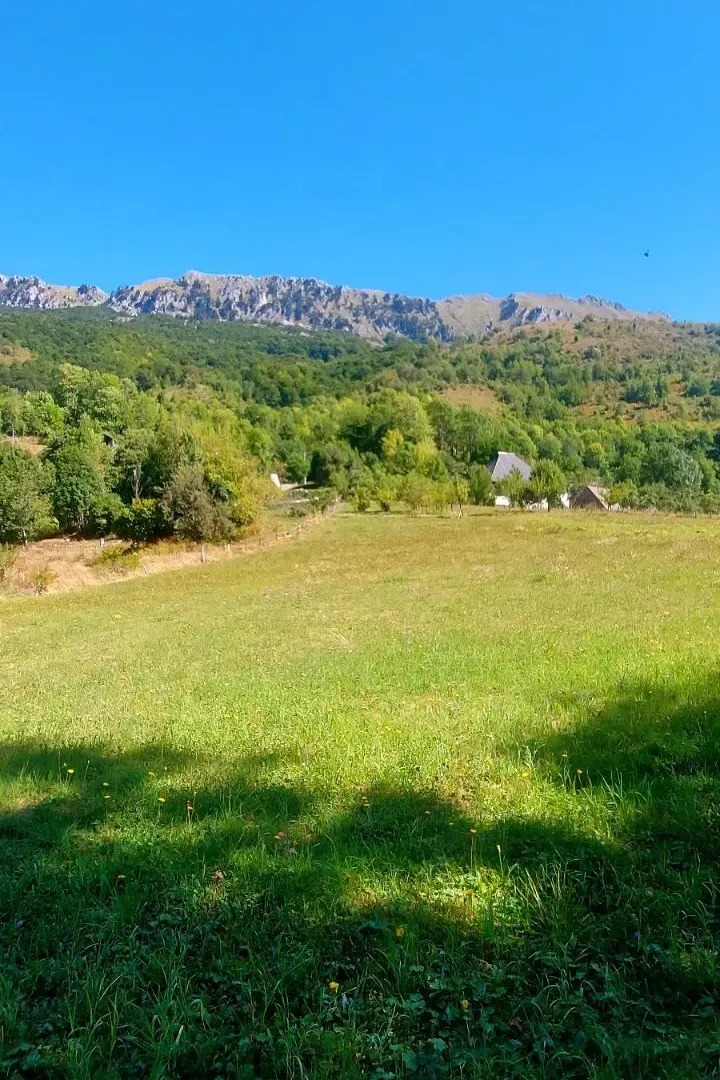 Prodaja, plac, 9000m², Kolašin, Crna Gora