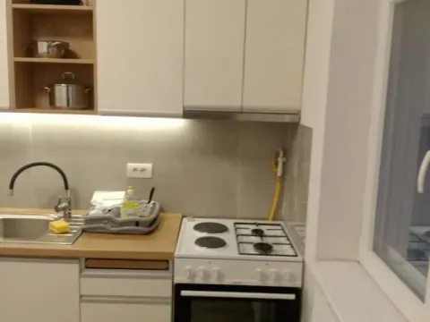 Izdavanje, jednosoban stan, 40m², Veternik, Novi Sad Sve Podlokacije - image 2