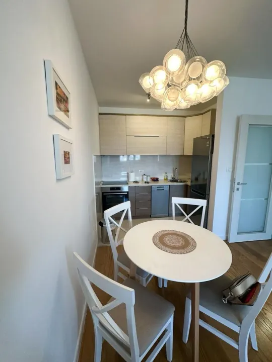 Izdavanje, jednosoban stan, 49m², Central Point, Podgorica