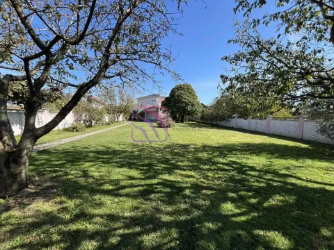 Izdavanje, kuća, 350m², Donji Kokoti, Podgorica - image 12