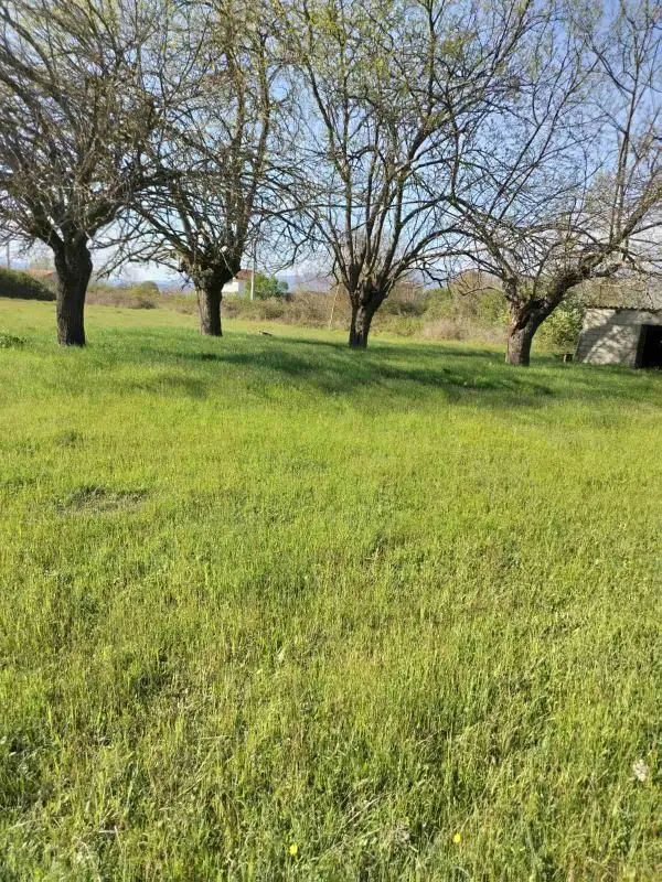 Prodaja, plac, 5022m², Novo Selo, Danilovgrad