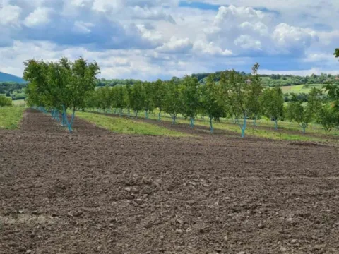 Prodaja, kuća, 170m², Kosmaj, Sopot - image 2