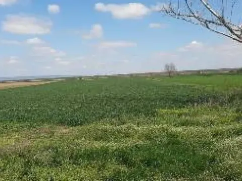 Sale, land lot, 18600m², Ruma, Srbija - image 2