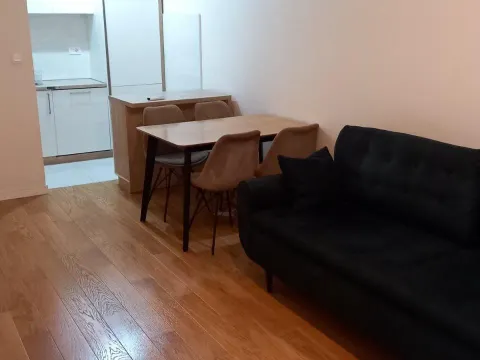Rent, one bedroom apartment, 47m², Central Point, Podgorica - image 3