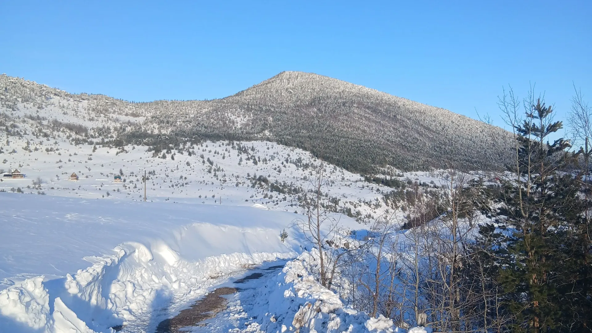 Prodaja, plac, 3000m², Borje, Žabljak
