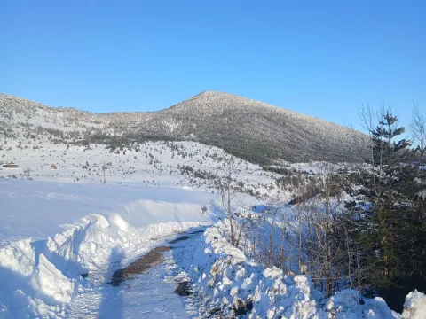 Prodaja, plac, 3000m², Borje, Žabljak - image 2