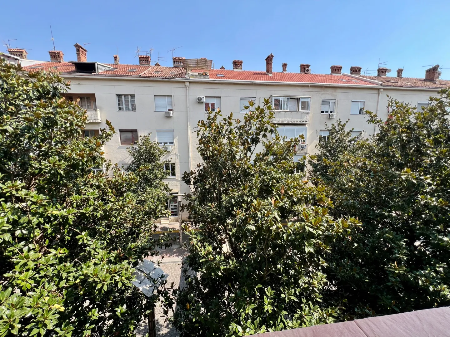 View from the apartment overlooking surrounding buildings and trees.