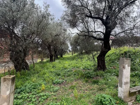 Prodaja, plac, 626m², Stari Bar, Bar - image 5