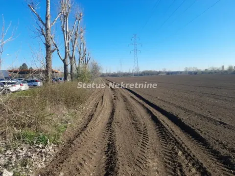 Pogled na zemljište i zemljani put pored drveća. - image 13