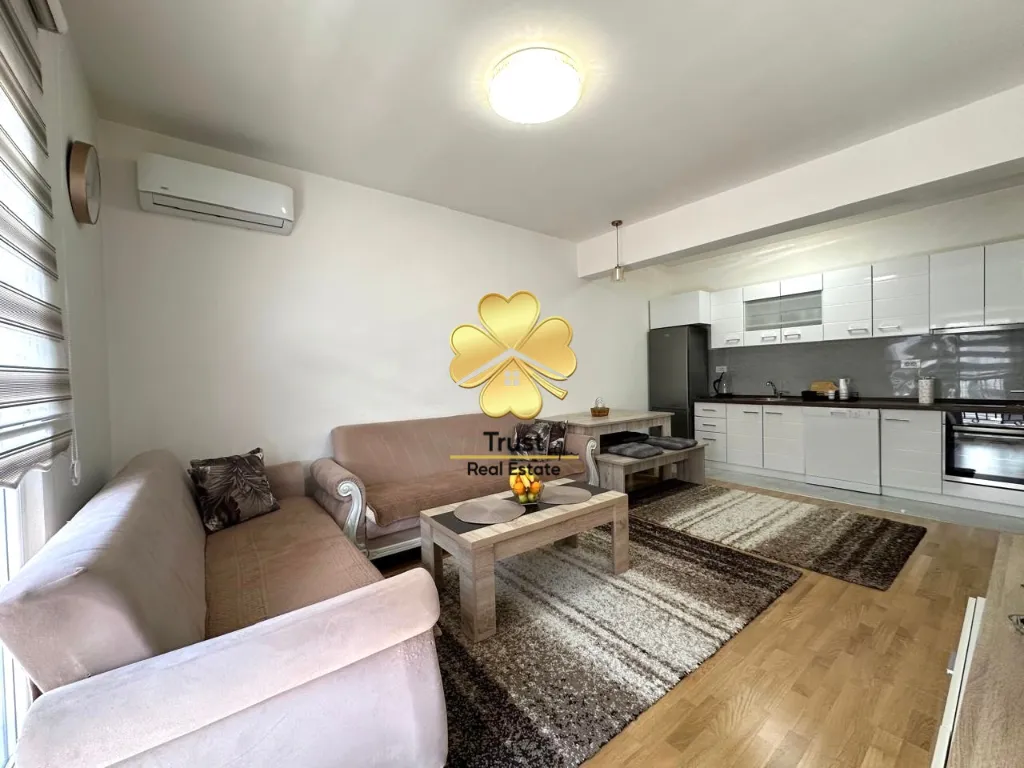 Rent, one bedroom apartment, 50m², Stara Varoš, Podgorica