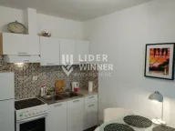 Izdavanje, jednosoban stan, 40m², Čubura, Beograd - image 11